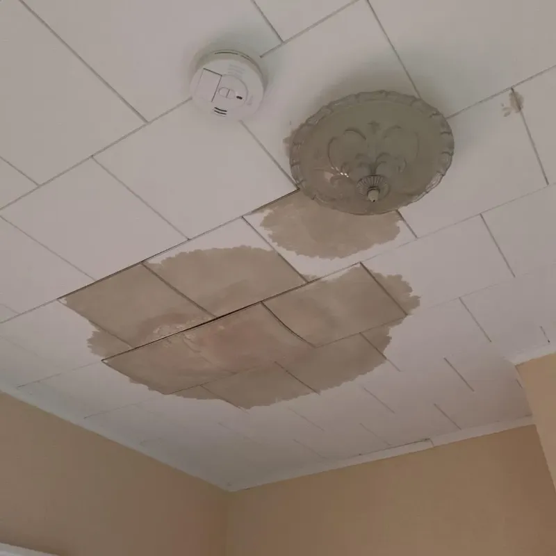 Ceiling Water Damage Repair in Livingston, AL