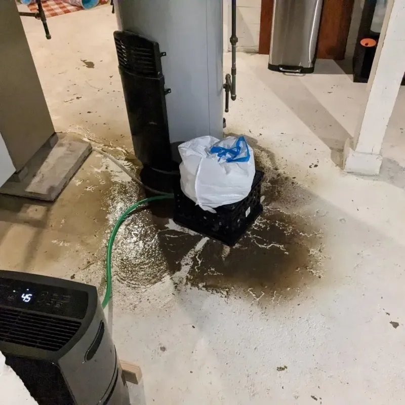 Sewage Backup Cleanup Service in Livingston, AL